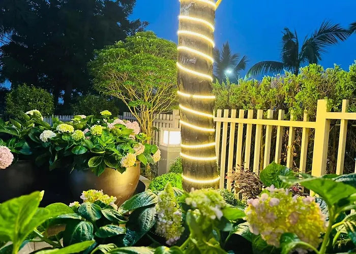 Mattina Hạ Long